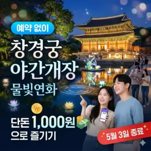 창경궁 야간개장, 물빛연화와 함께하는 무료 야경 체험.